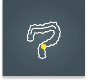 Colon
