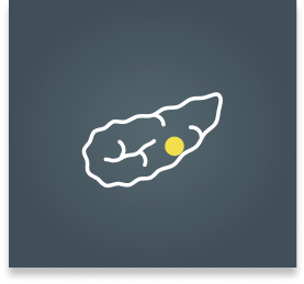 Pancreas