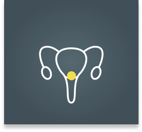 Cervix