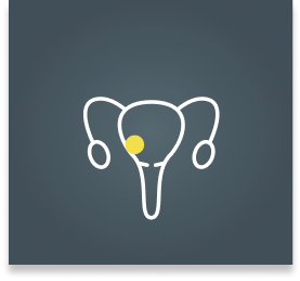 Endometrium